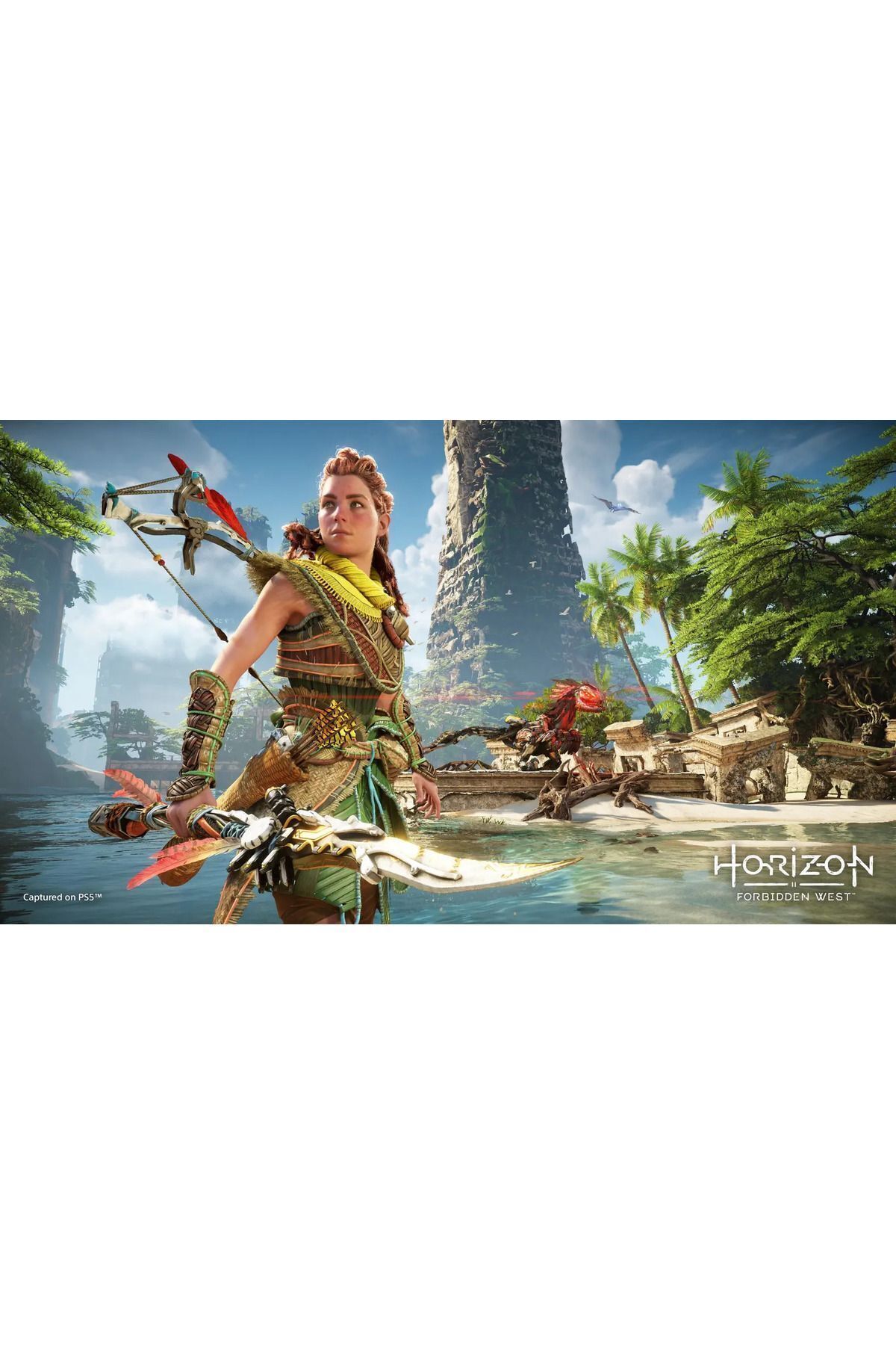 1_org_zoom-40.jpg Ps4 Horizon Forbidden West -türkçe Altyazı - Görsel 1